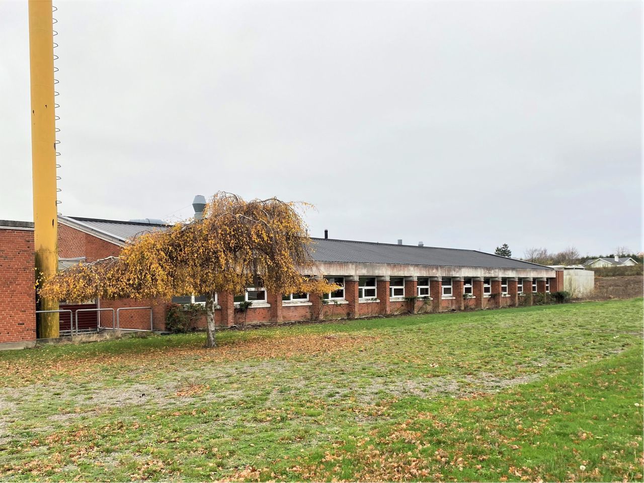 image 01