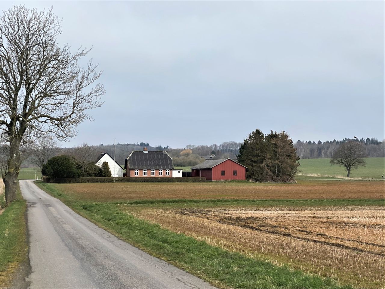 image 01