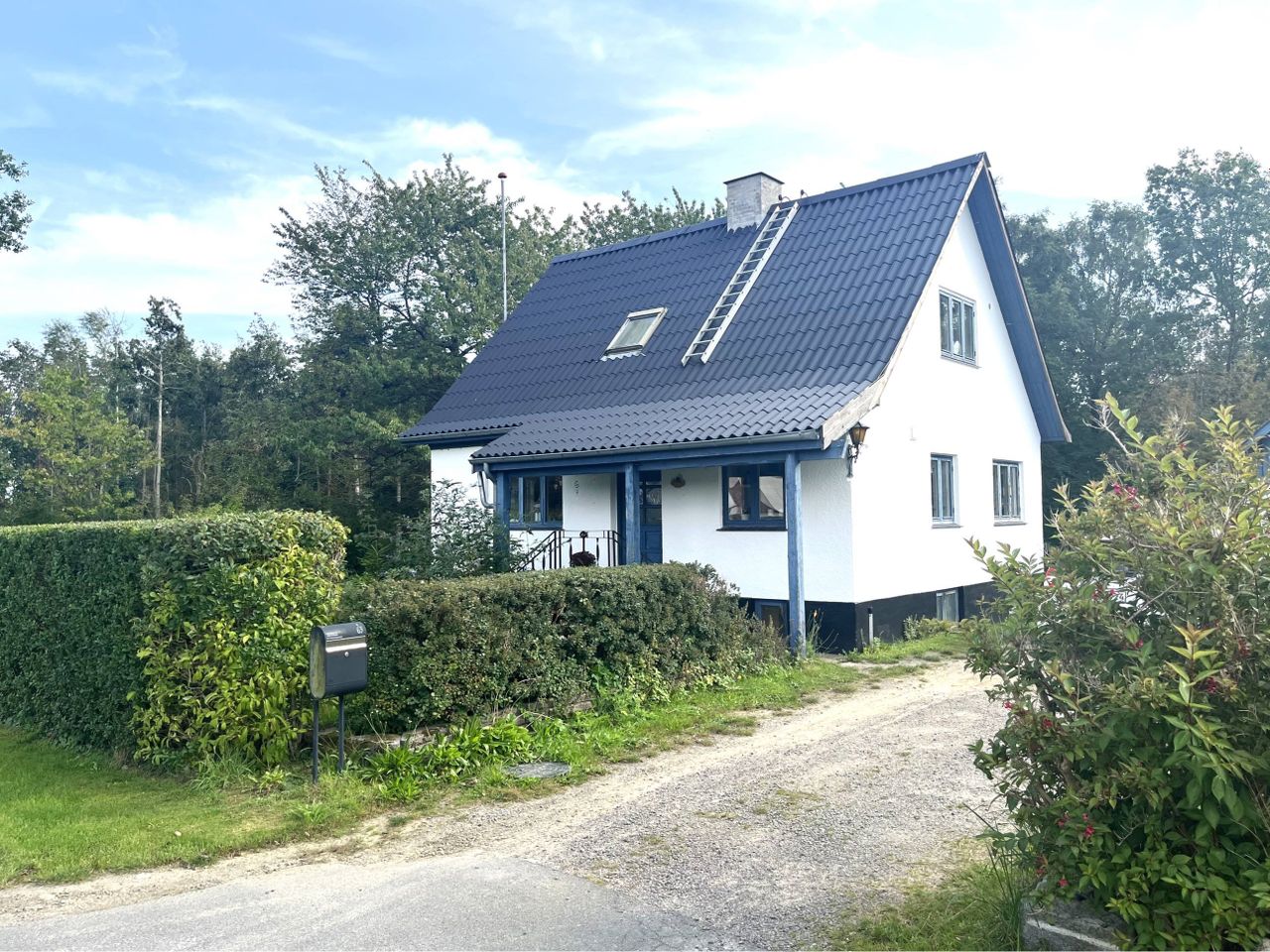image 01